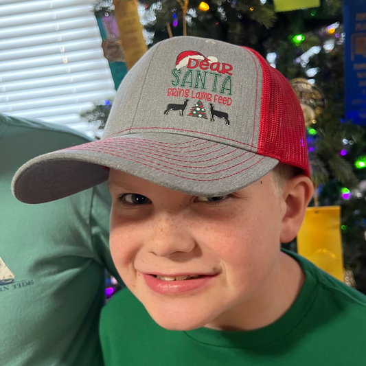 Christmas Dear Santa Cap