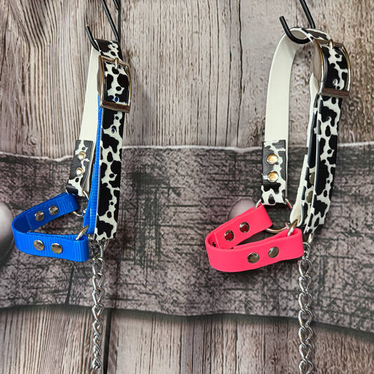 Custom Halters - Animal Prints
