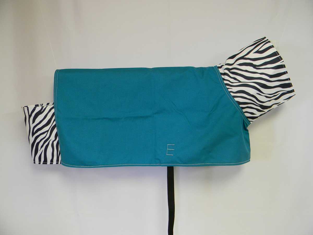 show goat blanket turquoise zebra