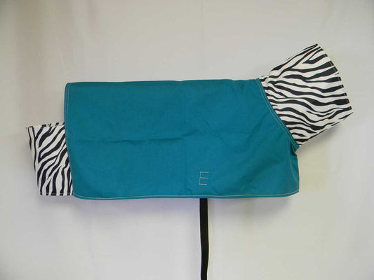 show goat blanket turquoise zebra
