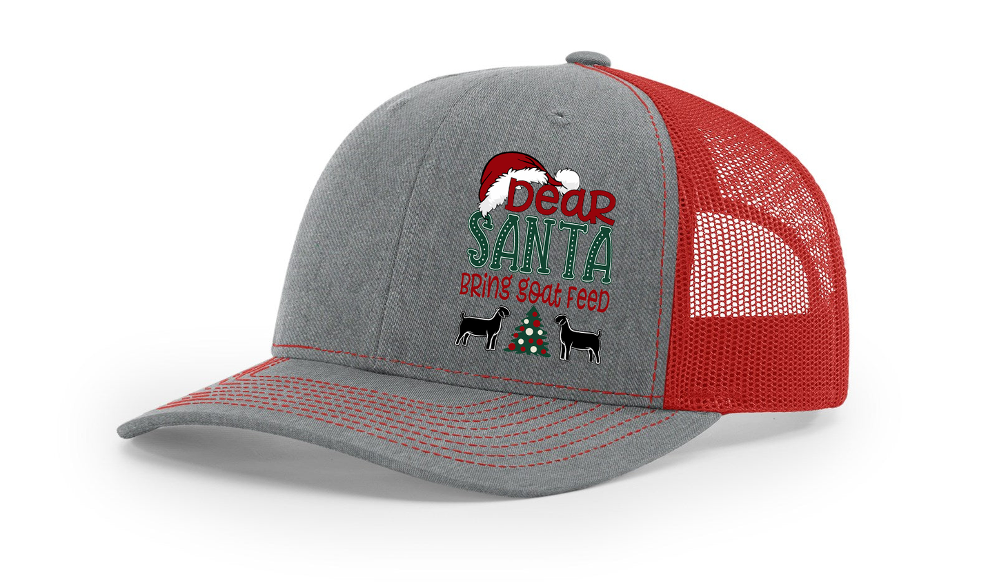 Christmas Dear Santa Cap